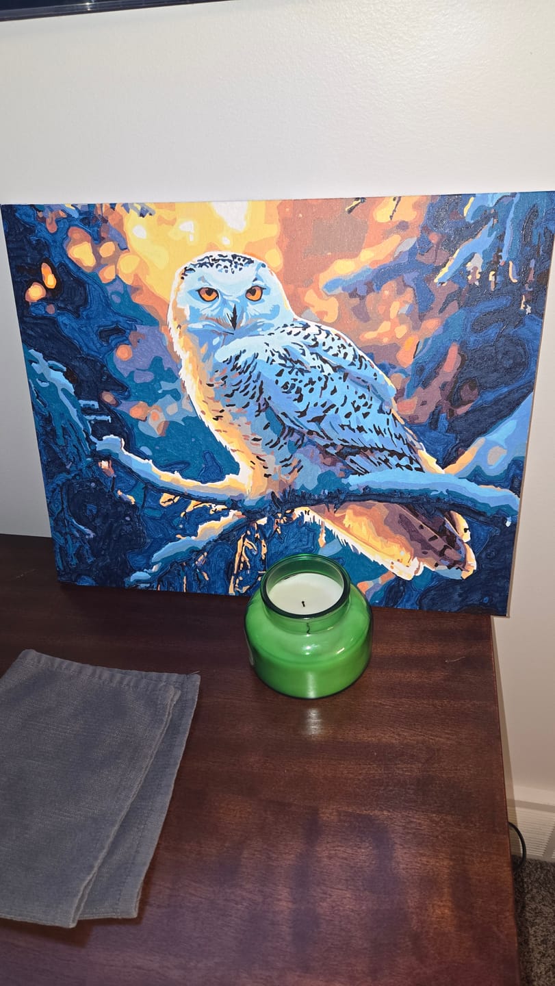 Customer photo review of Wintry Watchful