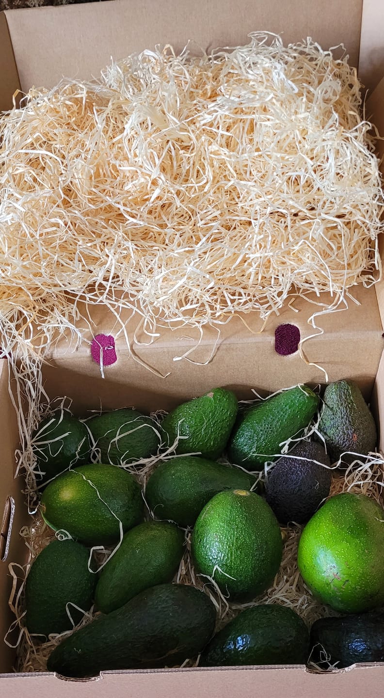 Customer photo review of Avocado-Mix Sonderaktion % 2kg Box