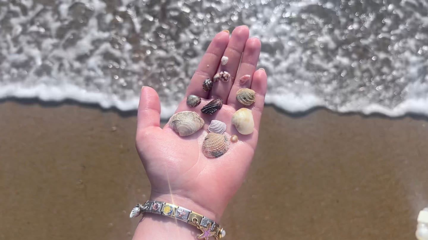 Customer photo review of Charm Estrella de Mar Rosa