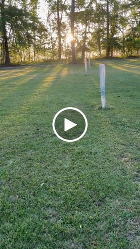 Customer video review of Hybrid Chestnut