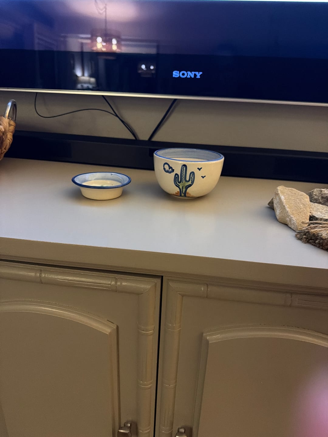 Customer photo review of Saguaro Everything Bowl
