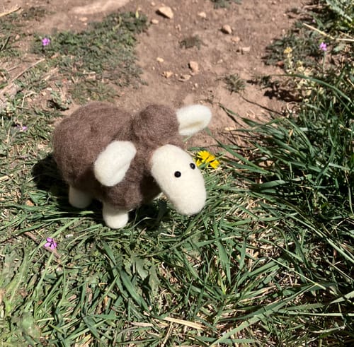 Customer photo review of Brown Sheep Mini Needle Felting Kit