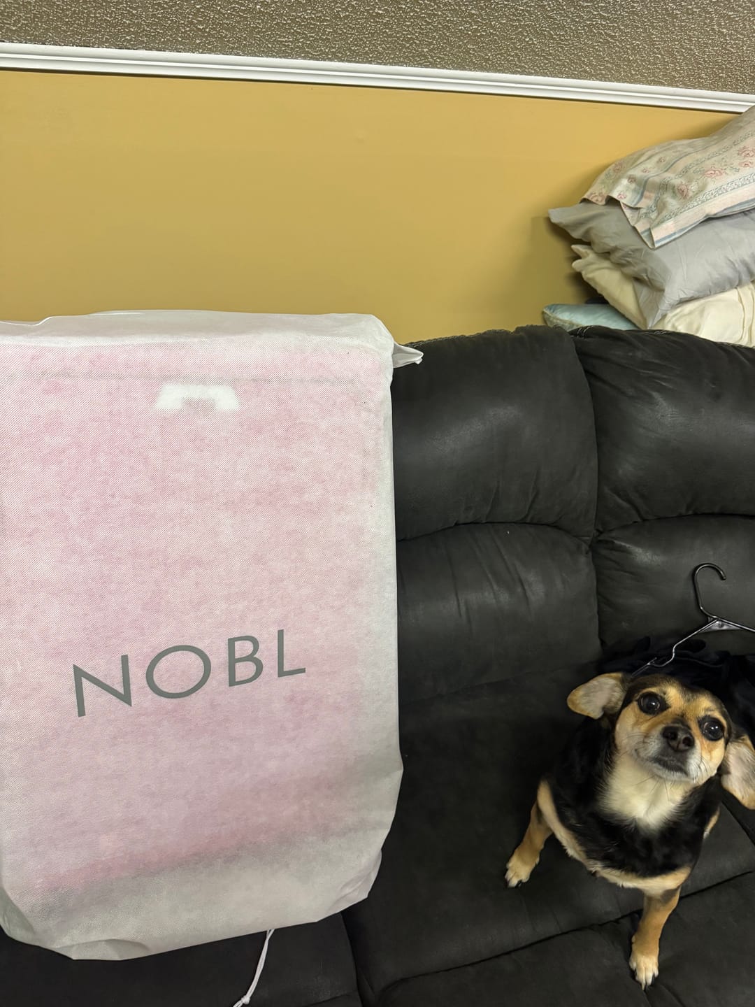 Customer photo review of Check-In Medium: All-In-One 24"