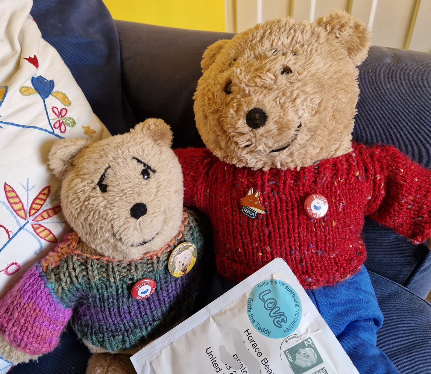 Customer photo review of Eddy the Teddy pin badge