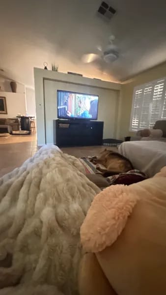 Customer photo review of Cloud Blanket