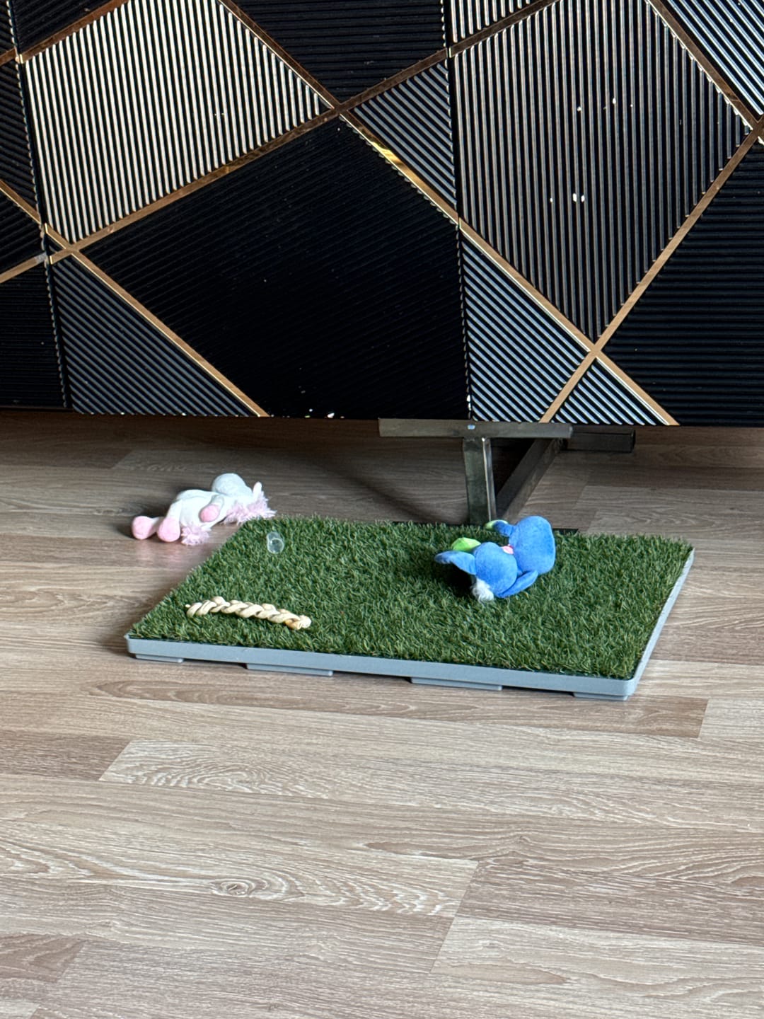 Customer photo review of GreenPee™ Yedek Çim – Akıllı Çim Tuvalet İçin Tek Yedek Parça