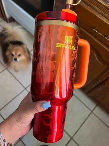 Customer photo review of Stanley 1913 x LoveShackFancy Quencher H2.O Flowstate™ Tumbler with Handle | 1.18L