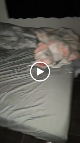 Customer video review of Cama Antiestrés para Perros