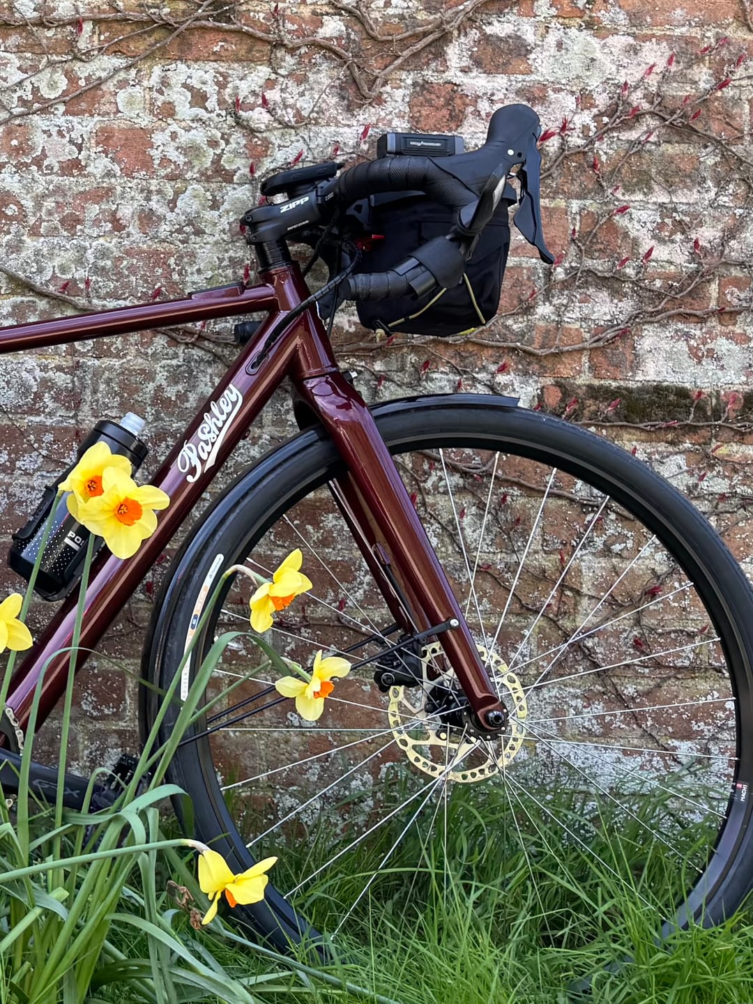 Customer photo review of The Original Handlebar Bag
