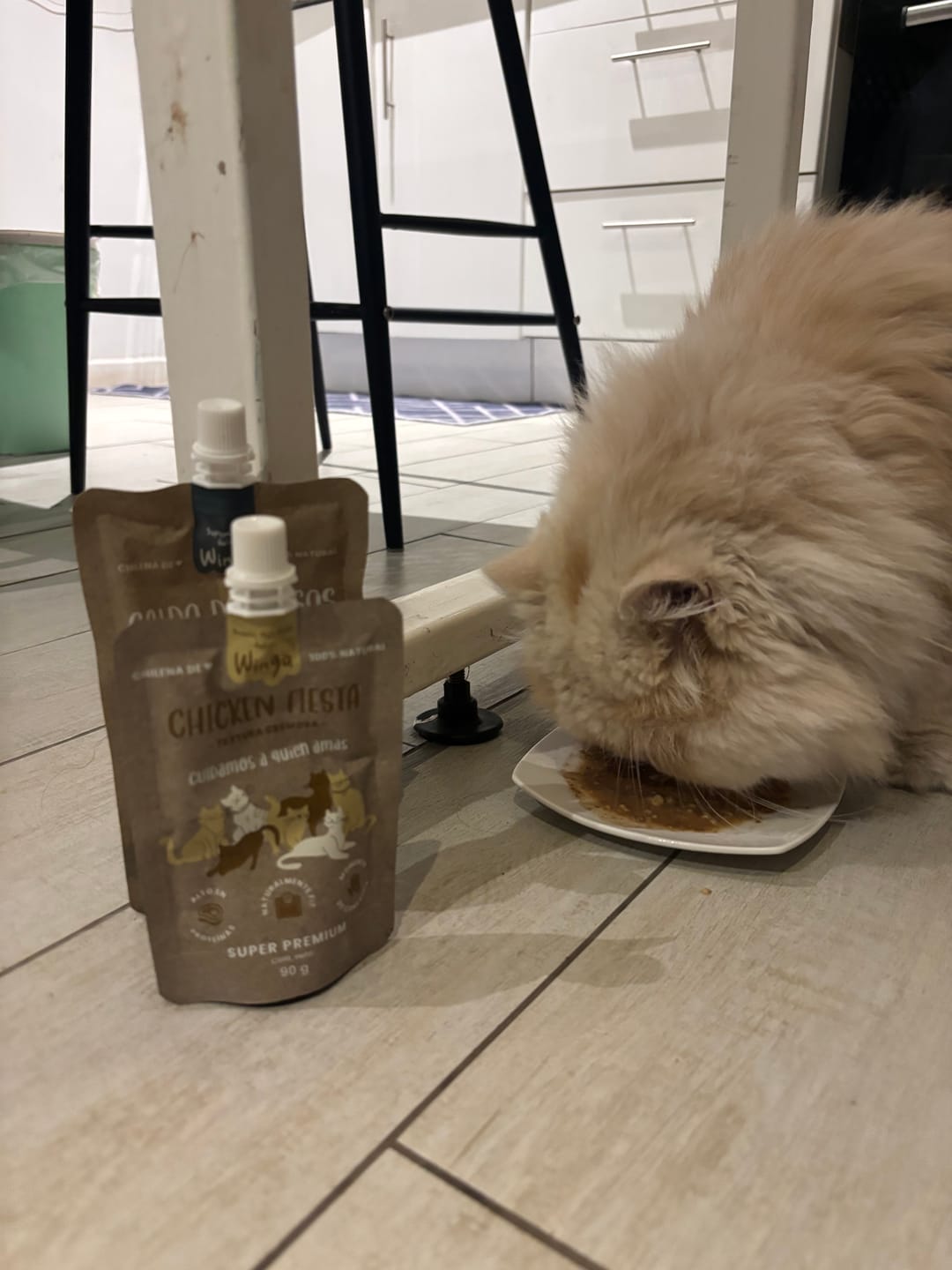 Customer photo review of Chicken Fiesta Gatos
