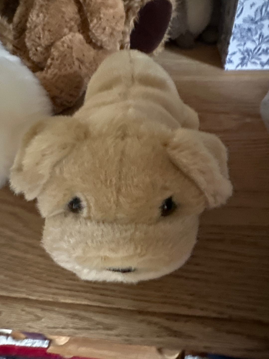 Customer photo review of Ma peluche Chien Hector
