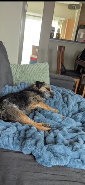 Customer photo review of Cloud Blanket