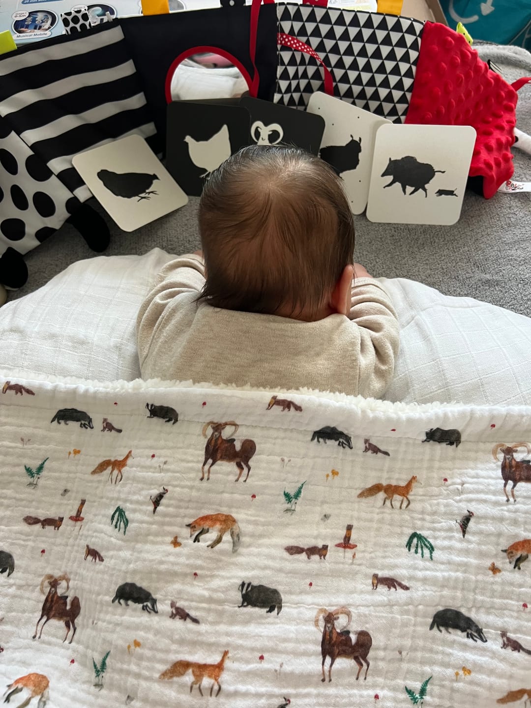 Customer photo review of Téli takaró  - Kalandok a Mátrában