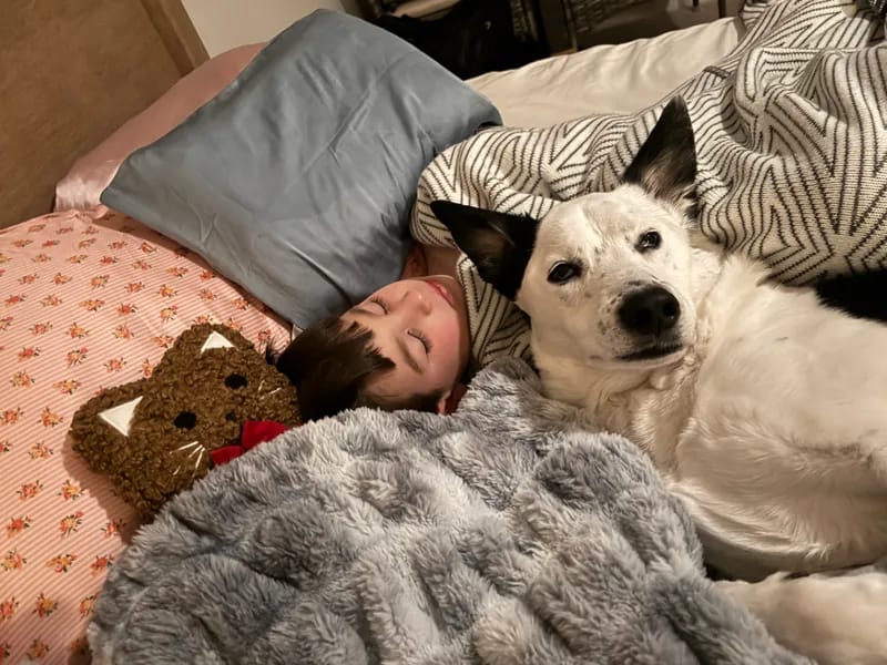 Customer photo review of Cloud Blanket