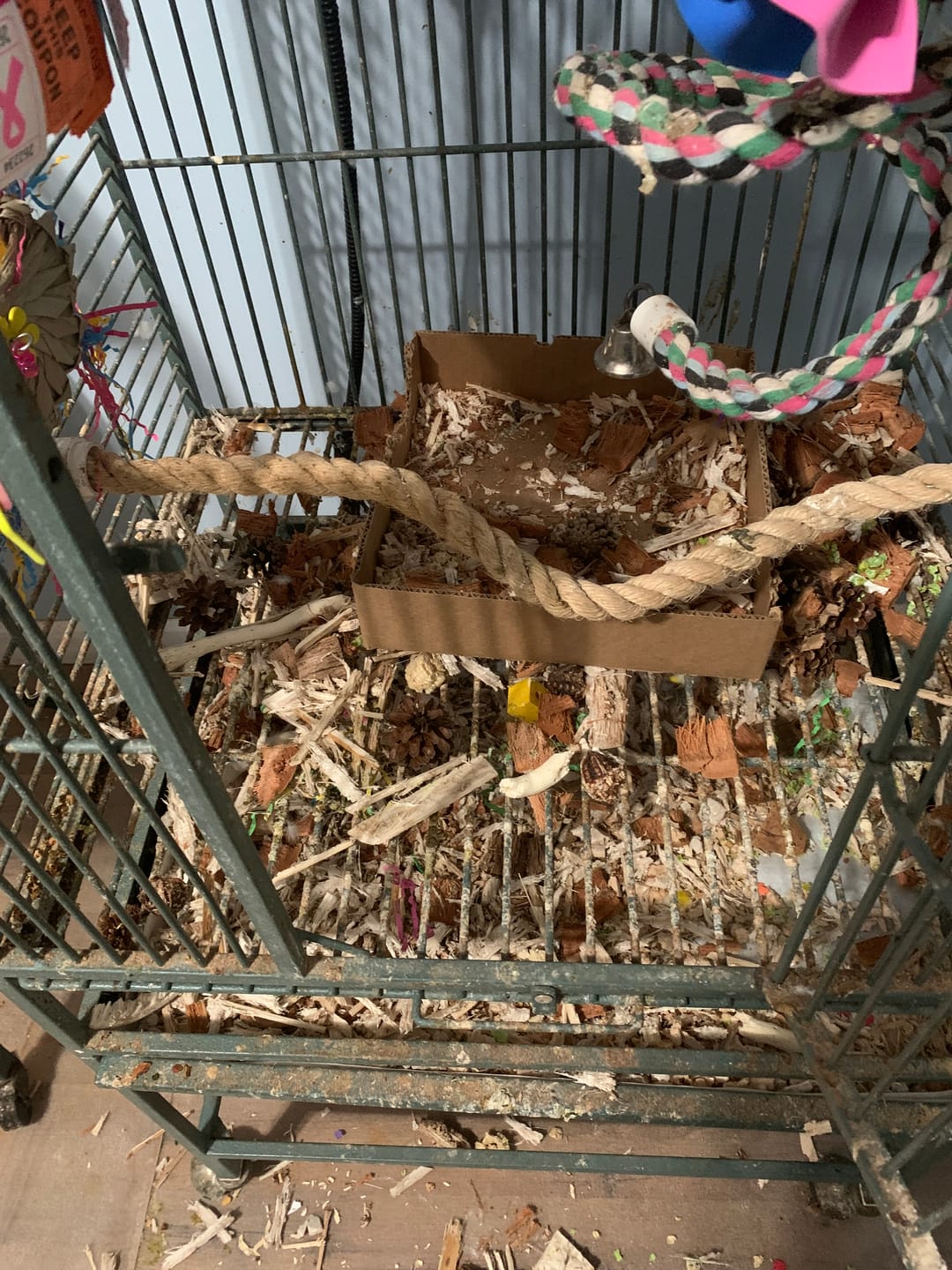 Customer photo review of "BYOT" Foraging Flats by Cheep Thrills