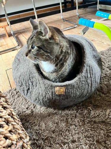 Customer photo review of WoolNest Premium