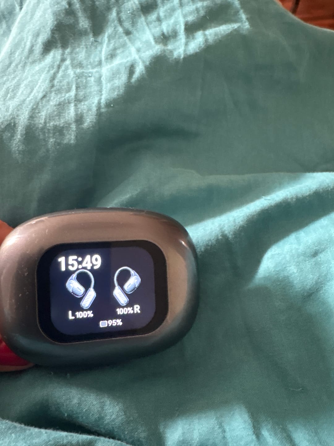 Customer photo review of Lingua Pods