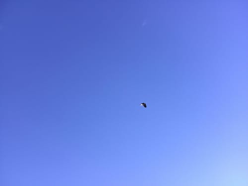 Customer photo review of KLIK™️ Screen-Free Camera