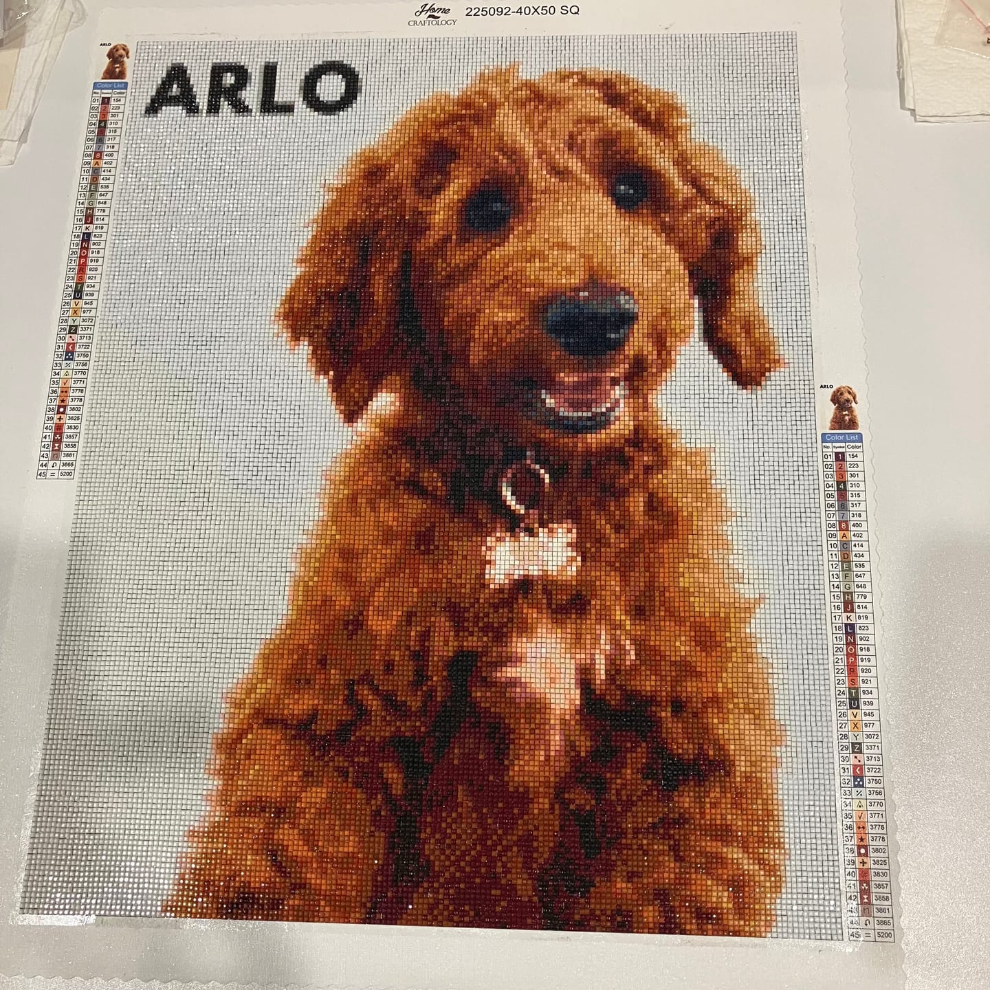 Customer photo review of Worlds Best Customized Diamond Painting Kit