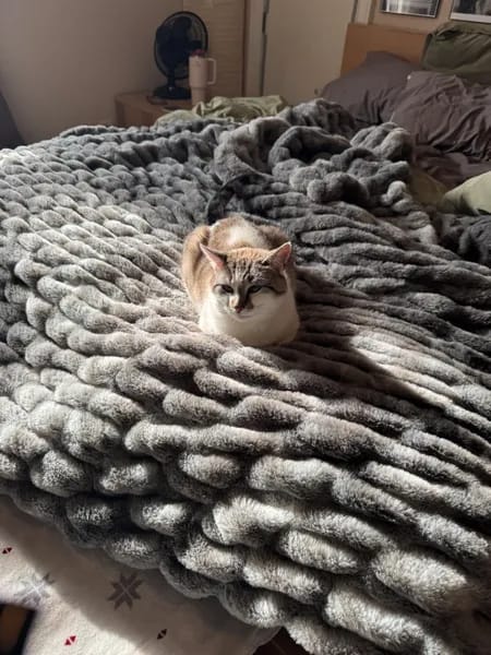 Customer photo review of Cloud Blanket