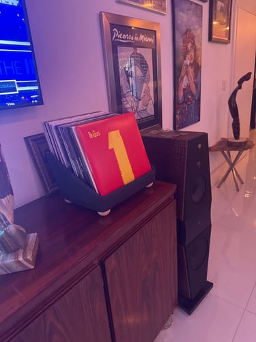 Customer photo review of Record Roots Tabletop Storage System
