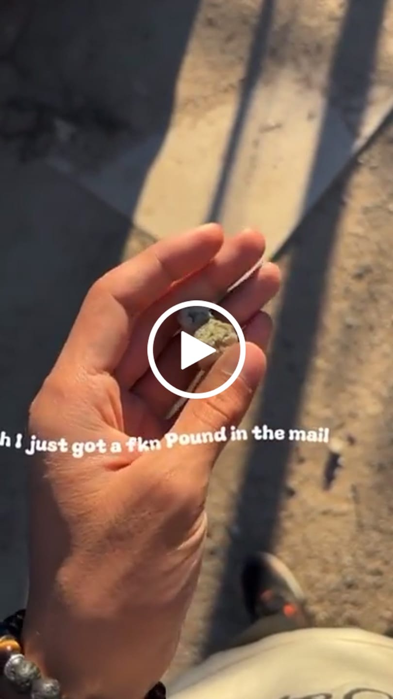 Customer video review of Non Detect Bulk Mushrooms