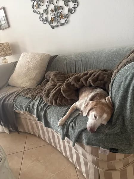 Customer photo review of Cloud Blanket