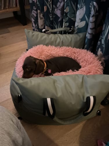 Customer photo review of The Dog Dock V2 New & Improved with ISO Fix
