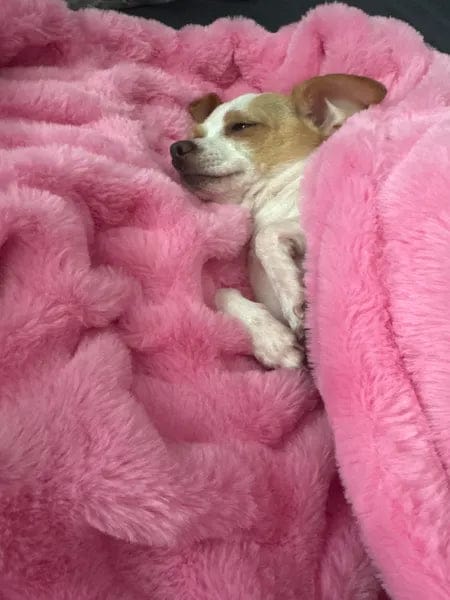 Customer photo review of Cloud Blanket