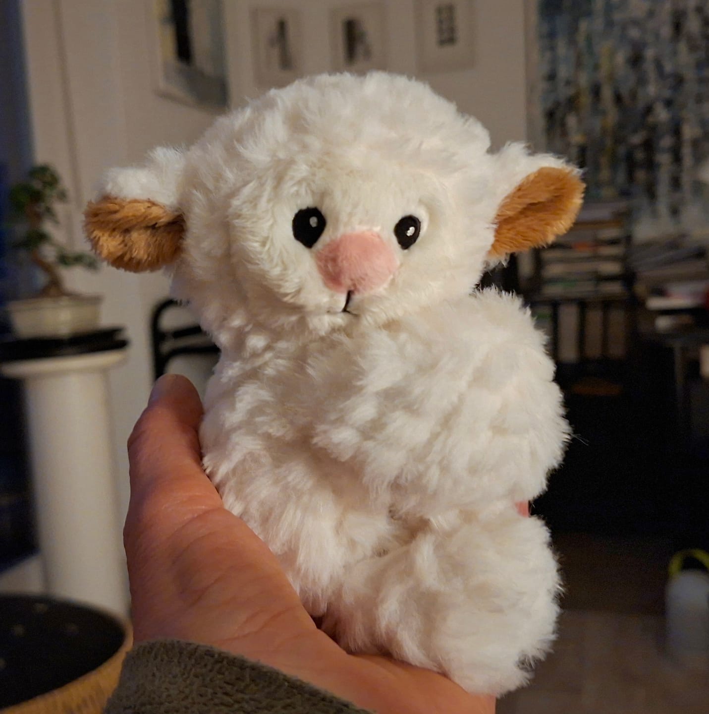 Customer photo review of Mini Lotgenootje Schaap