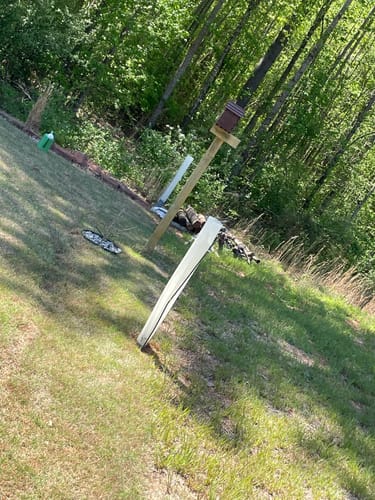 Customer photo review of Tree Pro Grow Tubes