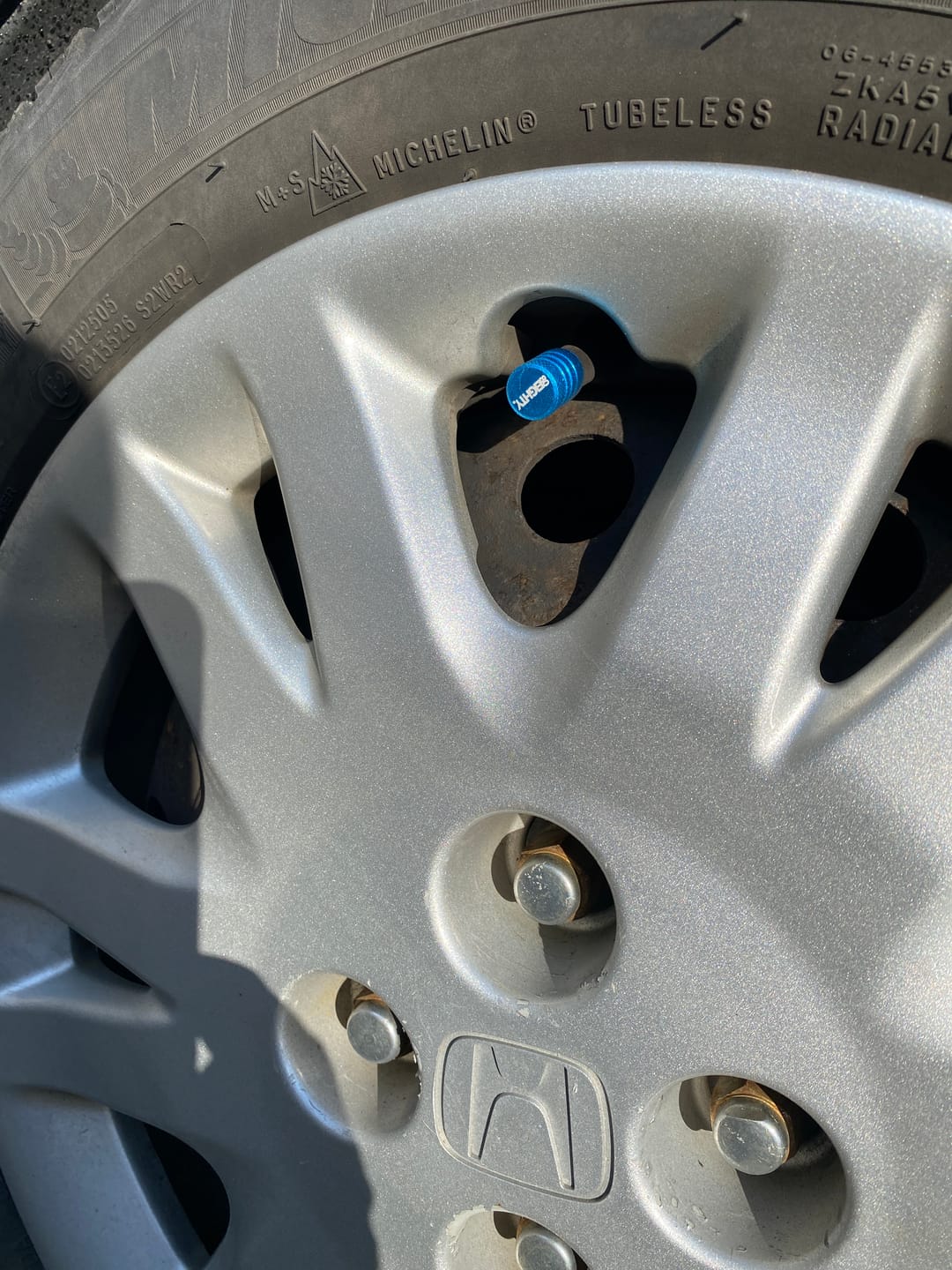 Customer photo review of 80Eighty® Teal Valve Stem Caps