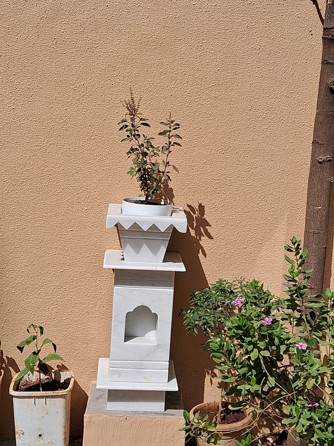 Customer photo review of Marble Tulsi Pot, White Marble - Handicraft Bazaar