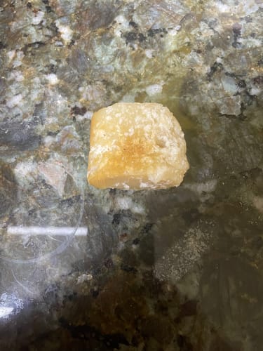 Close-up of the small stub left from a reviewer's Himalayan Yak Cheese Chew dog treat.