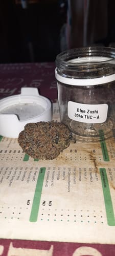 Customer's Blue Zushi 30% THCA bud resting next to its open, labeled glass jar.
