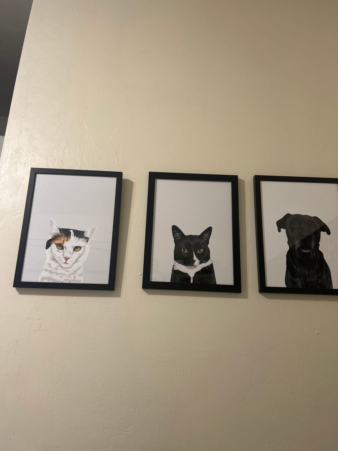 Customer photo review of Custom One Pet Portrait