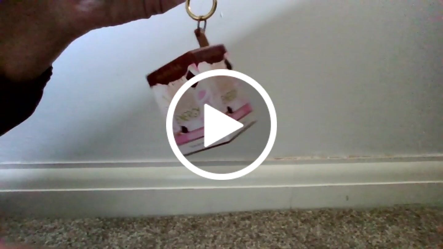 Customer video review of P. Louise Bad Bitch Energy Keychain Lip Balm