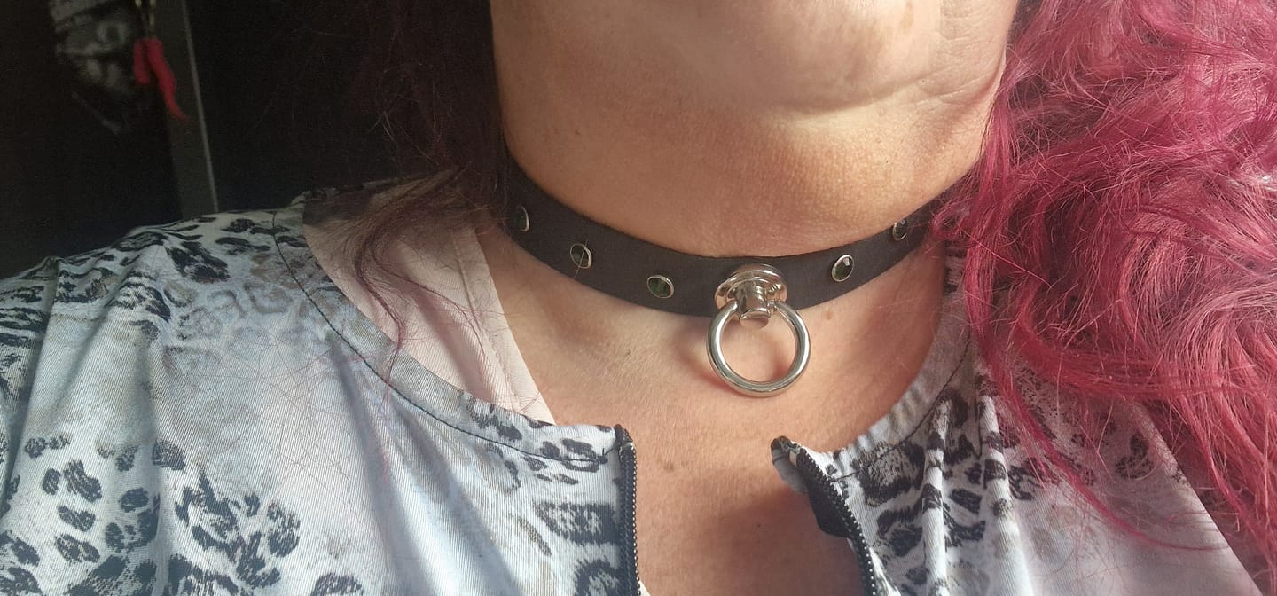 Customer photo review of SiaLinda: Halsband Nr. 13 dunkel grün 8 Straß Kristalle und großem O-Ring 20mm, echt Leder schwarz