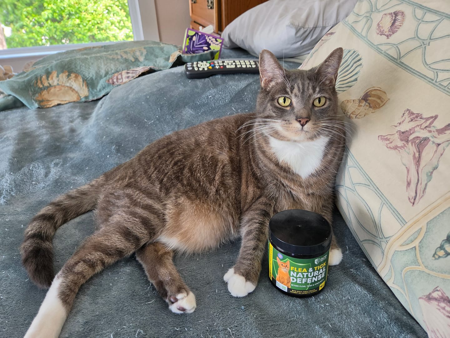 Customer photo review of GCP Flea & Tick Natural Defense for Cats - 100 Soft Chews