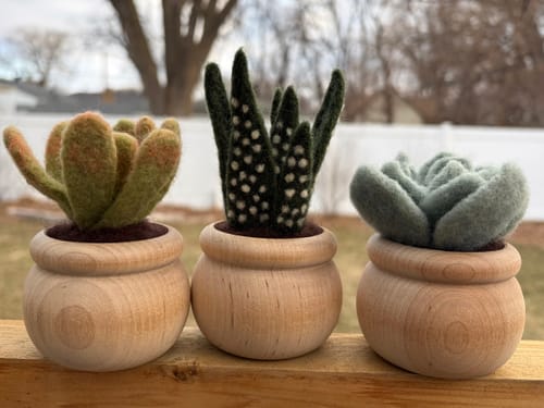 Customer photo review of Succulents Needle Felting Kit