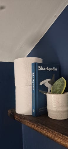 Customer photo review of 100% Recycled Toilet Paper
