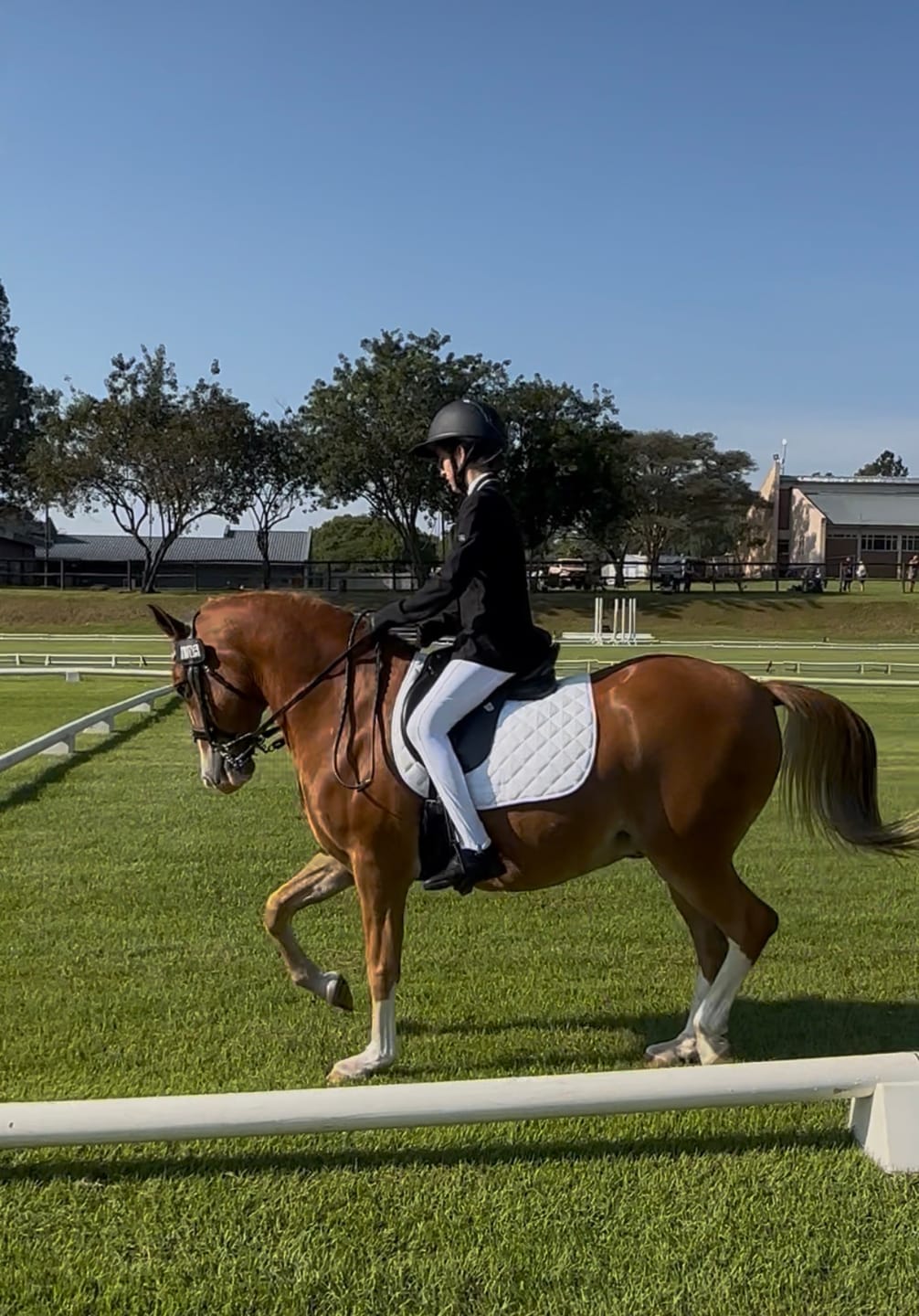 Customer photo review of Equimin Trophy (Supplement For Horses & Game)