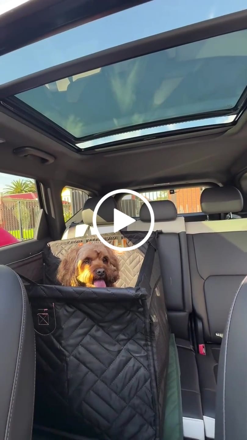 Customer video review of Marlo&Co™ Single Travel Seat