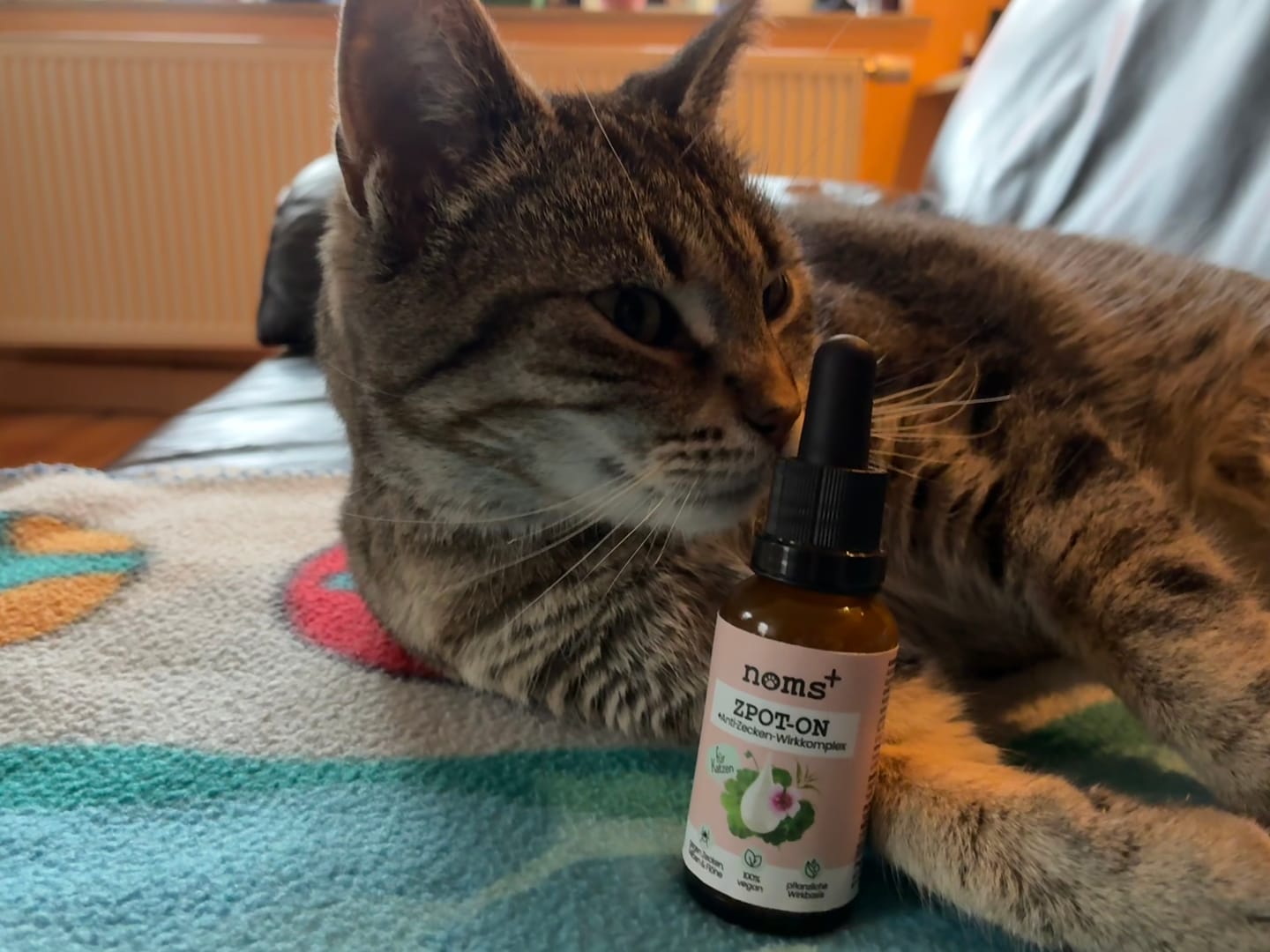 Customer photo review of Zpot-on für Katzen gegen Zecken, Flöhe, Milben & Mücken [Jahresvorrat]