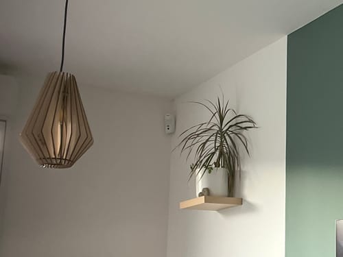 Customer photo review of Ambre teinté Chêne | Suspension