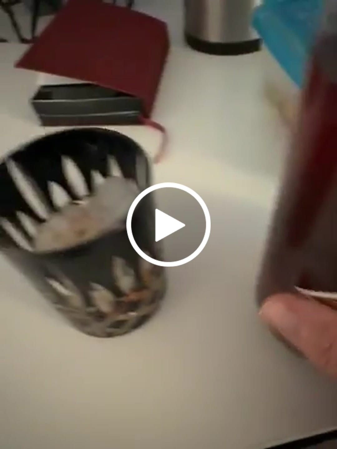 Customer video review of Elephant Gin Negroni 700ml - Ready-to-drink