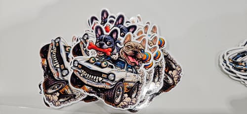 Customer photo review of 300 3.0" Custom Vinyl Stickers