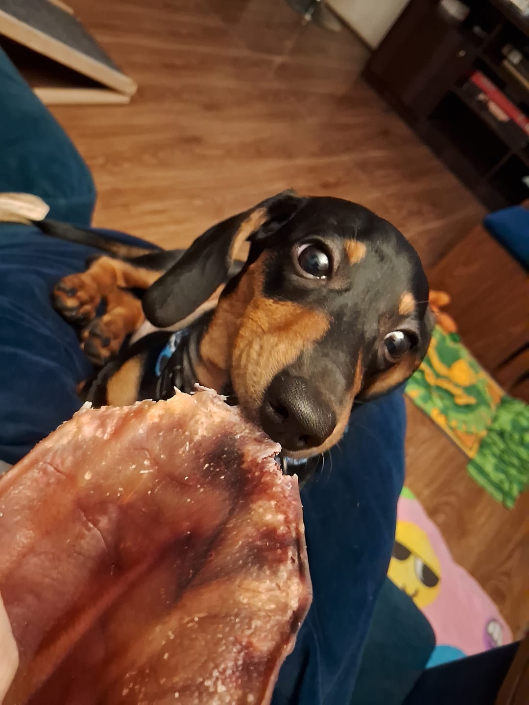 Customer photo review of Oreja de cerdo