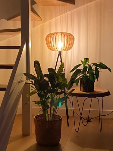 Customer photo review of Agathe teinté Chêne | Lampadaire