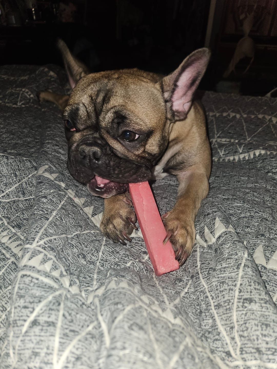 Customer photo review of Strawberry Himalayan Yak Chew (MEDIUM)